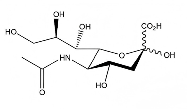 Sialic Acid - Image 2